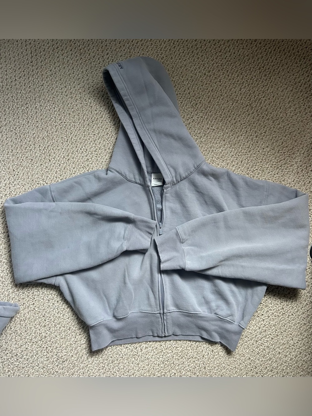 Aritzia Perfect Crop Zip Hoodie